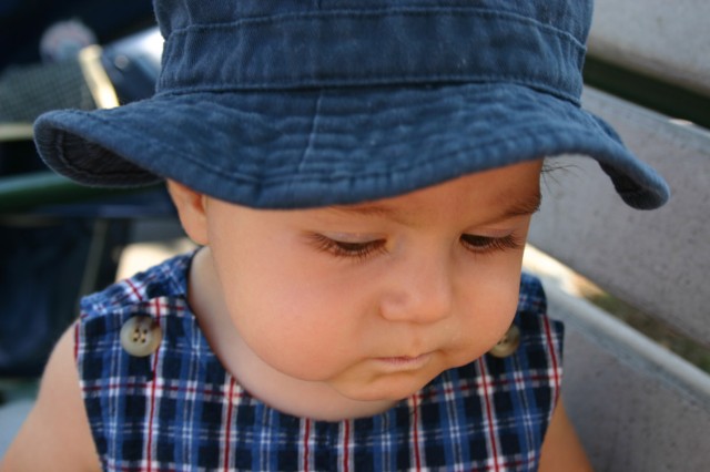 Click for original image 172k 1229x819